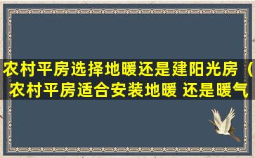 农村平房选择地暖还是建阳光房（农村平房适合安装地暖 还是暖气片）